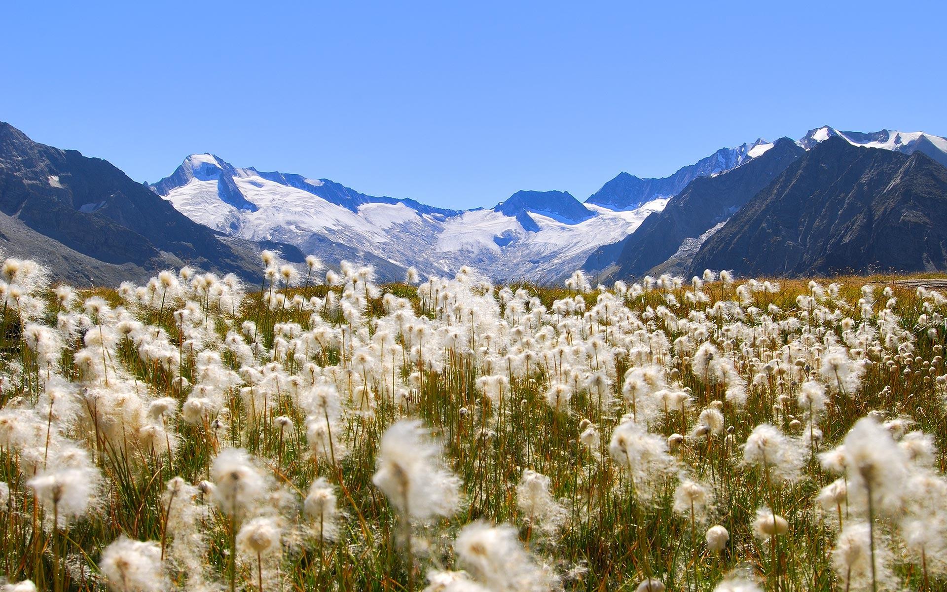 images/slider top/naturzeit urlaub alpen zillertal